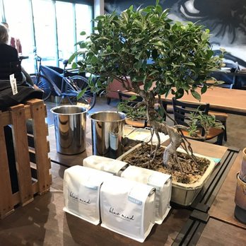 Leviathan Bakehouse - Bonsai! - Bakeries Near Me - Indianapolis, Indiana