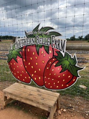 Southern Belle Farm by null