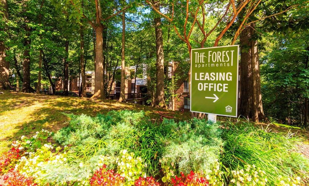 THE FOREST APARTMENTS Updated September 2024 31 Photos 2012