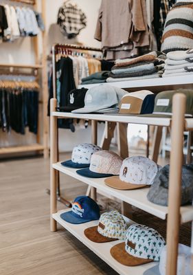 The Merry Lion by null