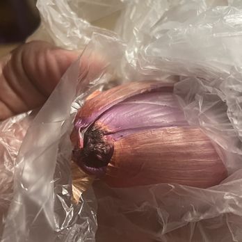Safeway - moldy rotten shallot - Grocery Near Me - Portland, Oregon Safeway - moldy rotten shallot - Grocery Near Me - Portland, Oregon