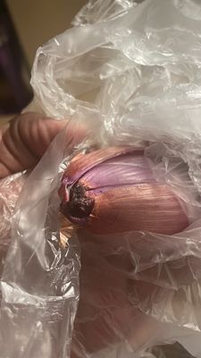 Safeway Bakery by null