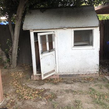 Rapid Waste Removal - The shed I asked them to take down. - Junk Removal & Hauling Near Me