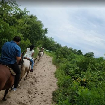 JAMAICA BAY RIDING ACADEMY - Updated February 2026 - 89 Photos & 111