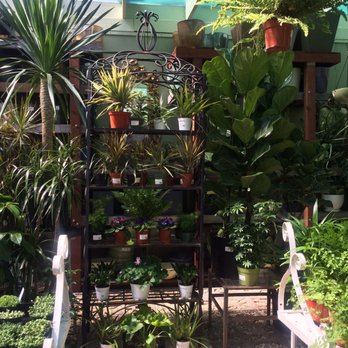 Clement Nursery - Nurseries & Gardening Near Me - San Francisco, California Clement Nursery - Nurseries & Gardening Near Me - San Francisco, California