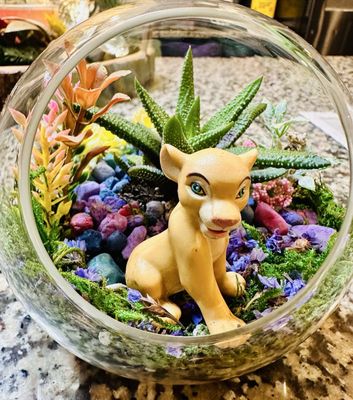 Ephemera - Plants, Terrariums and Comics by null