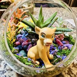 Ephemera Terrariums