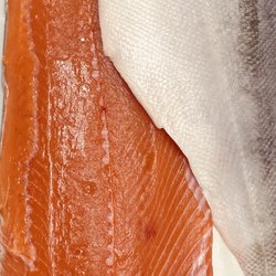 Colella Italian Market - Wild Salmon