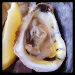 Crawdaddy's Restaurant & Oyster Bar