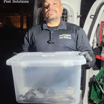 Nextgen Pest Solutions - Handled with care--Nextgen Pest Solutions technician safely removing wildlife and keeping families protected. - Pest Control Near Me - Suwanee, Georgia Nextgen Pest Solutions - Handled with care--Nextgen Pest Solutions technician safely removing wildlife and keeping families protected. - Pest Control Near Me - Suwanee, Georgia