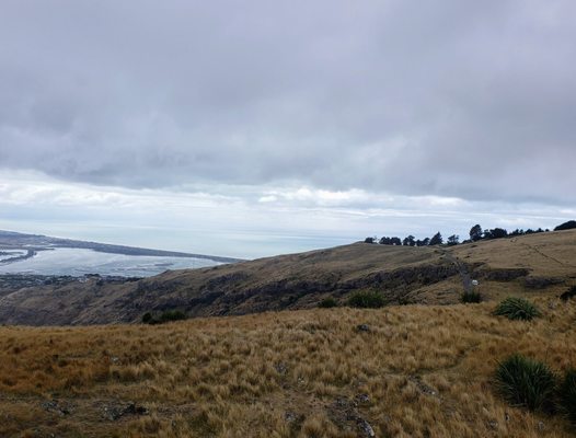 Christchurch Gondola by null