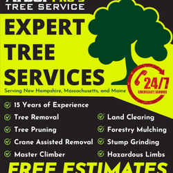 Arbor Pro’s Tree Service 