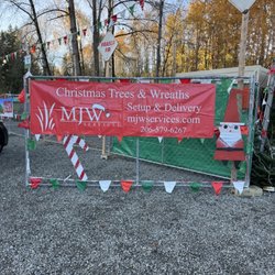 MJW Christmas Trees