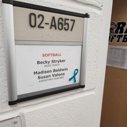 Rochester Institute of Technology - Fastpitch coach is the best