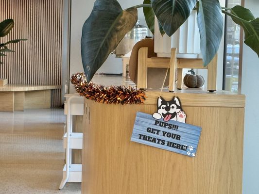 Noe Cafe - Dog Patch by null