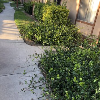 Bemus Landscape - Landscaping Near Me - San Clemente, California Bemus Landscape - Landscaping Near Me - San Clemente, California