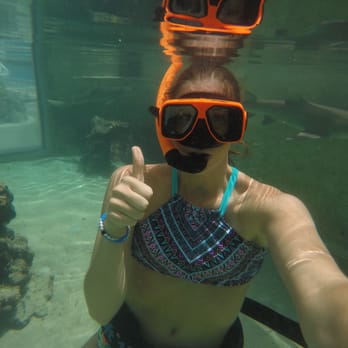 Coral World Ocean Park - Shark encounter - Aquariums Near Me - St Thomas, Virgin Islands Coral World Ocean Park - Shark encounter - Aquariums Near Me - St Thomas, Virgin Islands