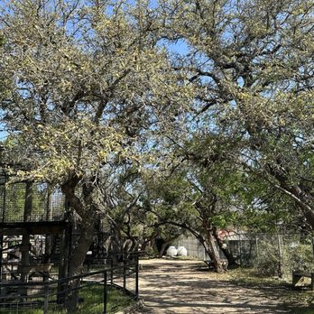 Austin Zoo - Zoos Near Me - Austin, Texas
