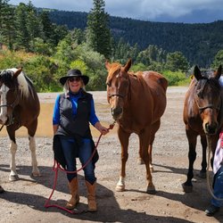 Forever West Performance Horses