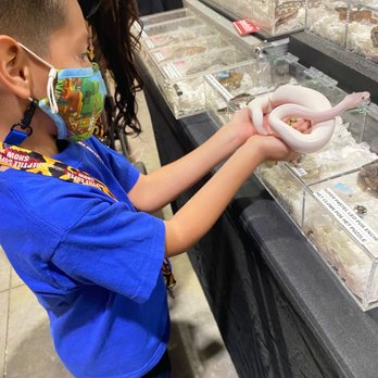 Reptile Super Show - Festivals Near Me - Pomona, California Reptile Super Show - Festivals Near Me - Pomona, California