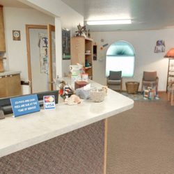Ellyson Chiropractic Office - Call us to Schedule your Appointment Today!