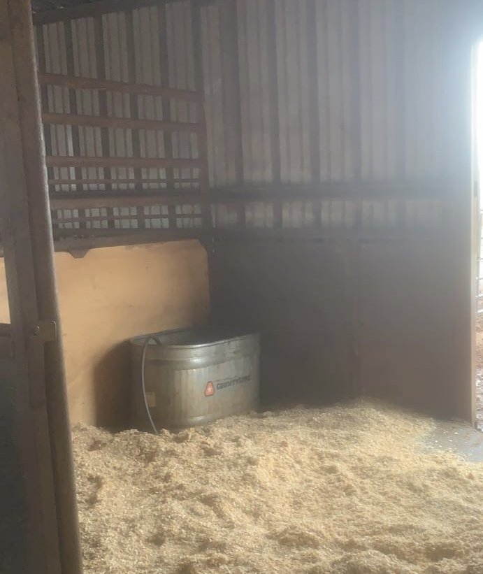 24K Performance Horses - equestrian in Piedmont, OK