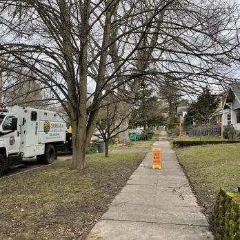 Samsara Tree Care - Tree Services Near Me - Portland, Oregon Samsara Tree Care - Tree Services Near Me - Portland, Oregon