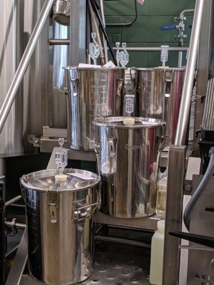 Zebulon Artisan Ales by null