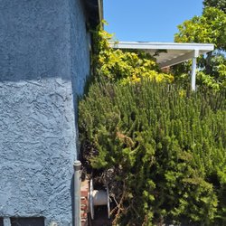 1 Best Lawn Care Services