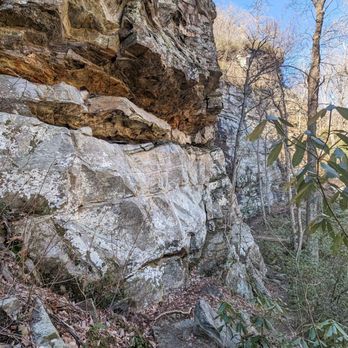 Caesars Head State Park - Raven Cliff Falls and Dismal Trail Loop | Instagram: @telephonesmoothie - Parks Near Me - Cleveland, South Carolina