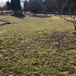 Selinsgrove Dog Park