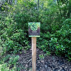 Largo Central Park Nature Preserve
