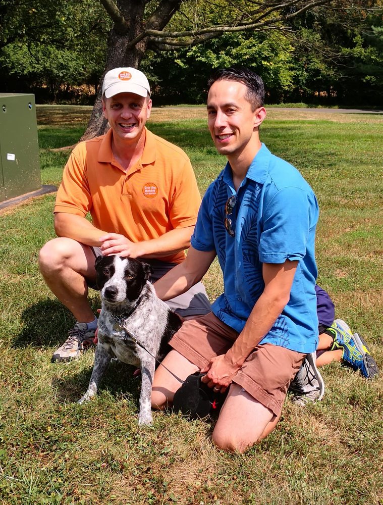Good Dog Workshop