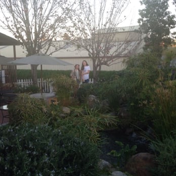 Fallbrook Coffee Co - Tropical patio! With the relaxing sound of a waterfall. - New American Near Me - Fallbrook, California