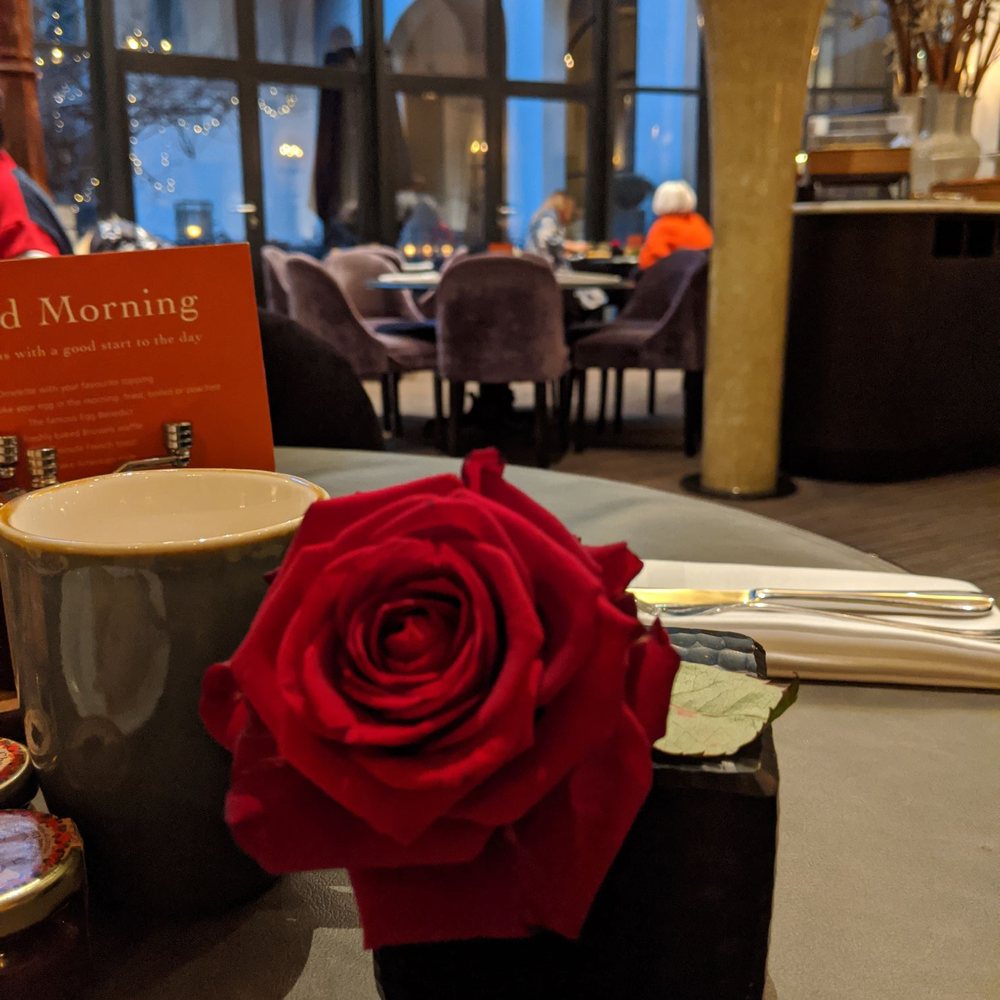 The Dominican - Hotels Near Me - Brussels, BRU The Dominican - Hotels Near Me - Brussels, BRU