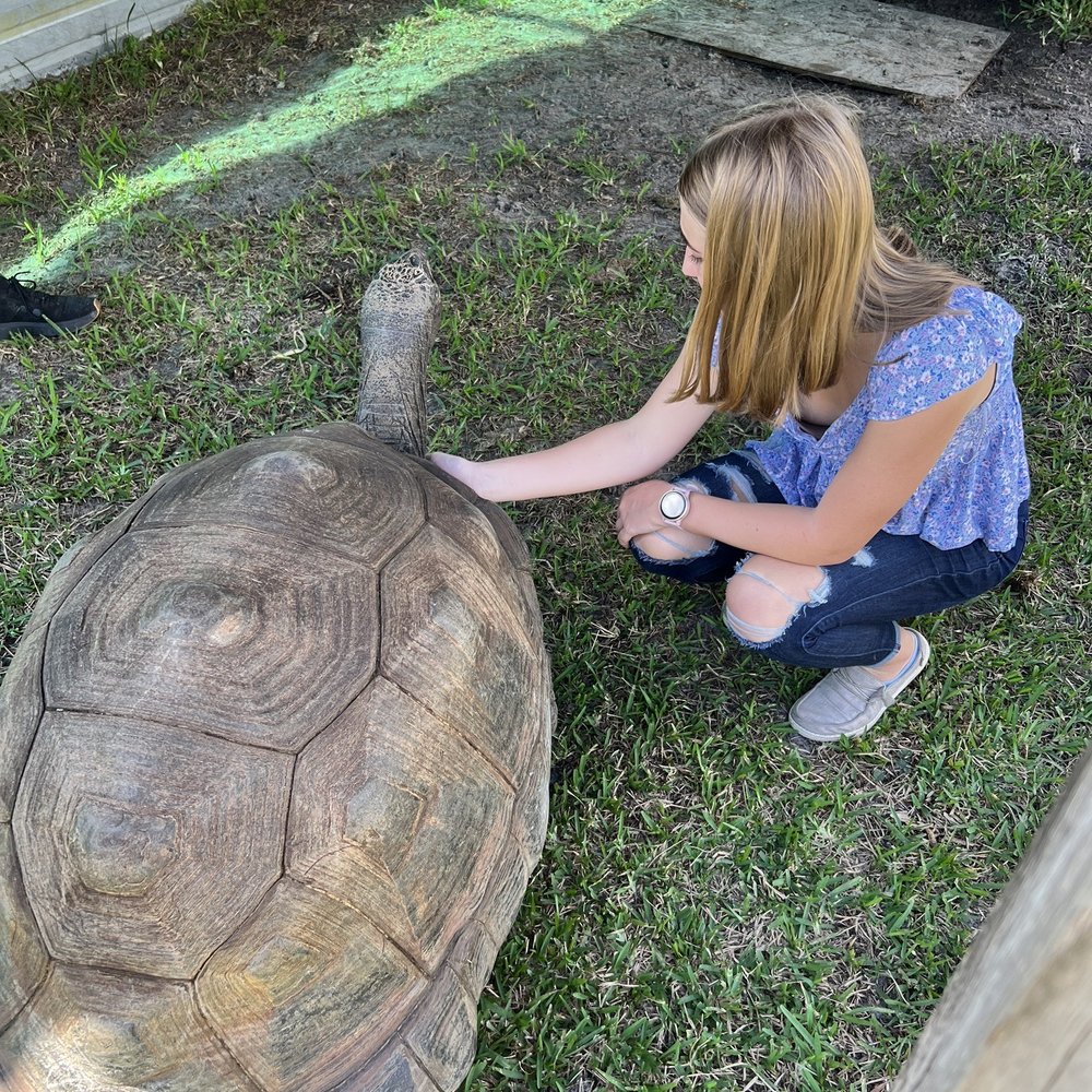 Iguanaland - Zoos Near Me - Punta Gorda, Florida