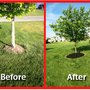 Photo of D&D Lawn Care LLC