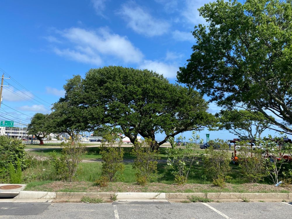 Sarah Constant Beach Park