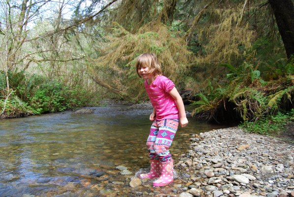 Redwood Adventures by null