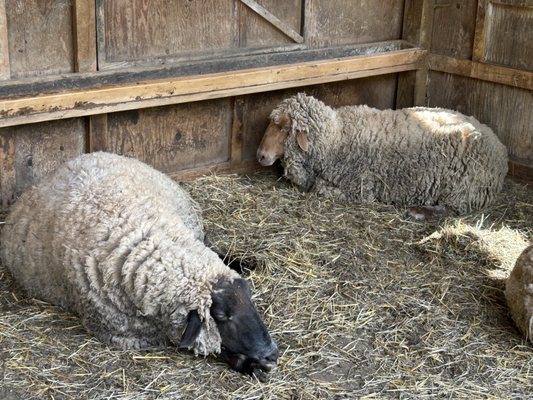 The Inn at Honey Run by null