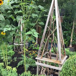 Verdin's Farm & Garden Center