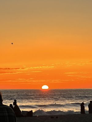World Famous by null
