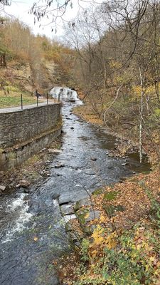 Cascadilla Gorge Trail by null