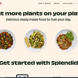 Splendid Spoon
