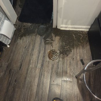 P&M Asphalt Paving - Sewage backup into my basement - Masonry/Concrete Near Me P&M Asphalt Paving - Sewage backup into my basement - Masonry/Concrete Near Me