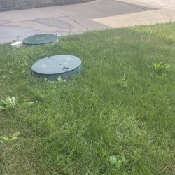 Shiraz Gardens - Unkept yard