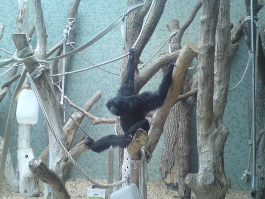 Hellabrunn Zoo by null