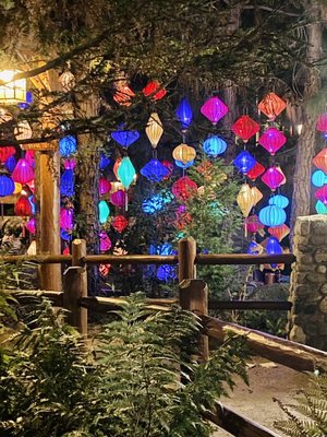 Redwood Creek Challenge Trail by null