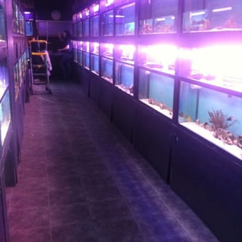 J & L Aquatics - Salt water Fish - Pet Stores Near Me - Burnaby, British Columbia J & L Aquatics - Salt water Fish - Pet Stores Near Me - Burnaby, British Columbia