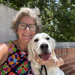 UCLA Medical Plaza - Waiting for hubby in the shade with Pearl at the medical plaza.
